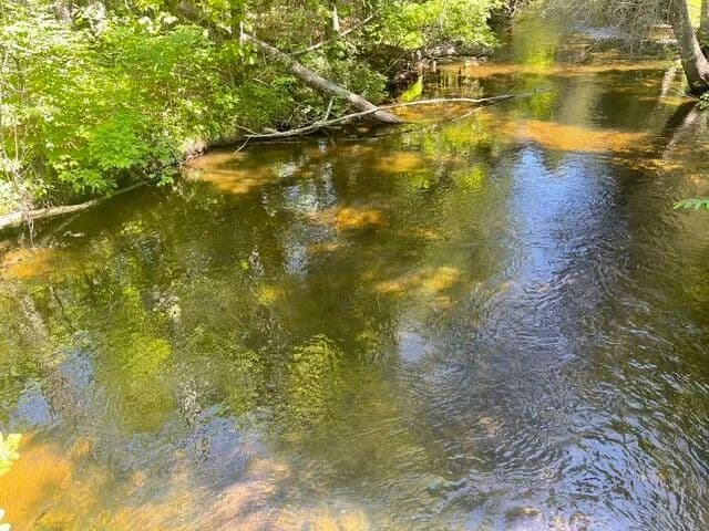 2.23 Acres of Land for Sale in Lakewood, Wisconsin - Lakewood, Wisconsin, 54138