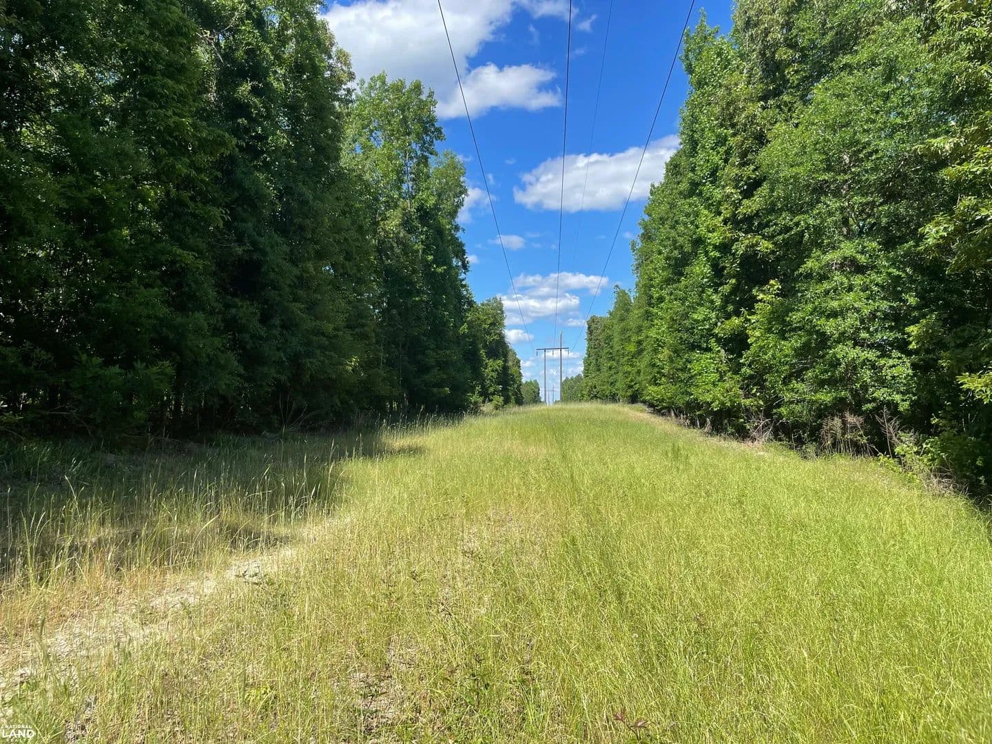 Pickett Creek Hunting and Timber Investment Property - Butler, Alabama, 36904