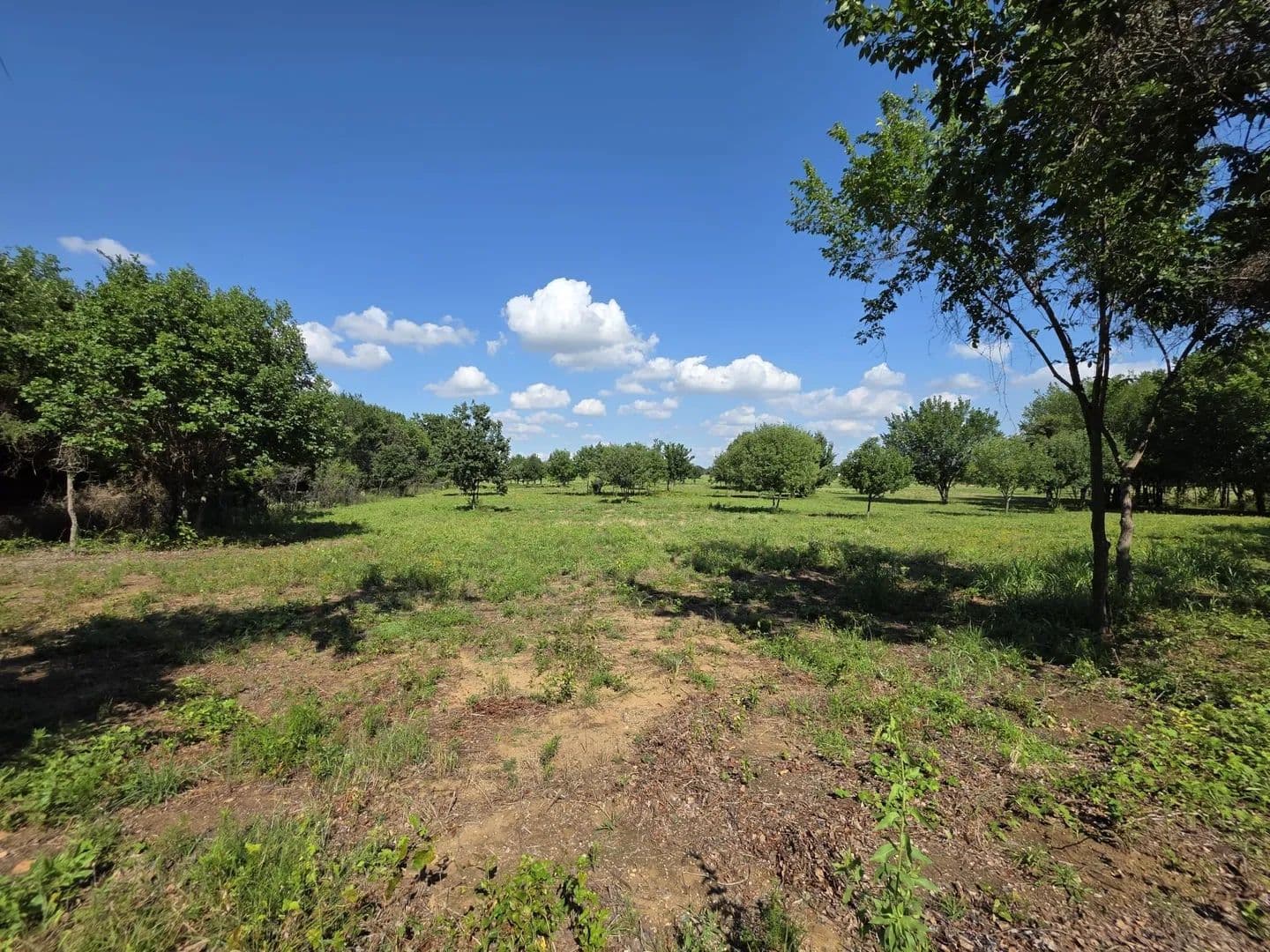 4.27 Acres of Land for Sale in Oak Point, Texas - Oak Point, Texas, 75068