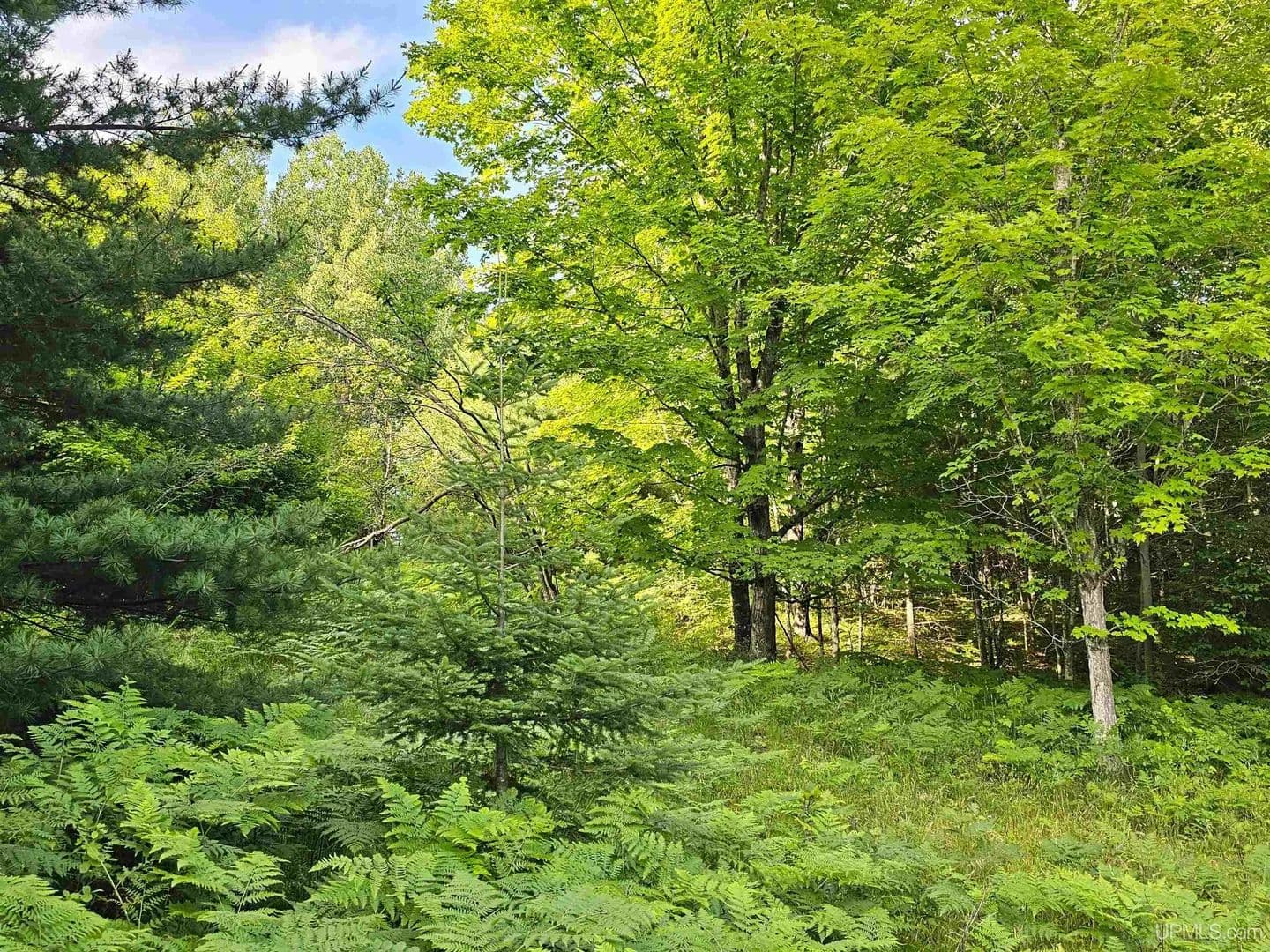 Vacant Land in Houghton - Houghton, Michigan, 49931