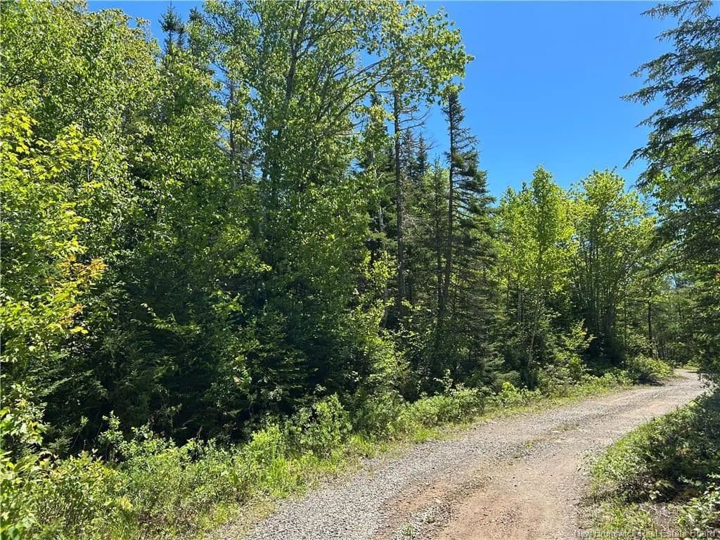 Land for Sale in Grand Bay-Westfield, NB - land for sale