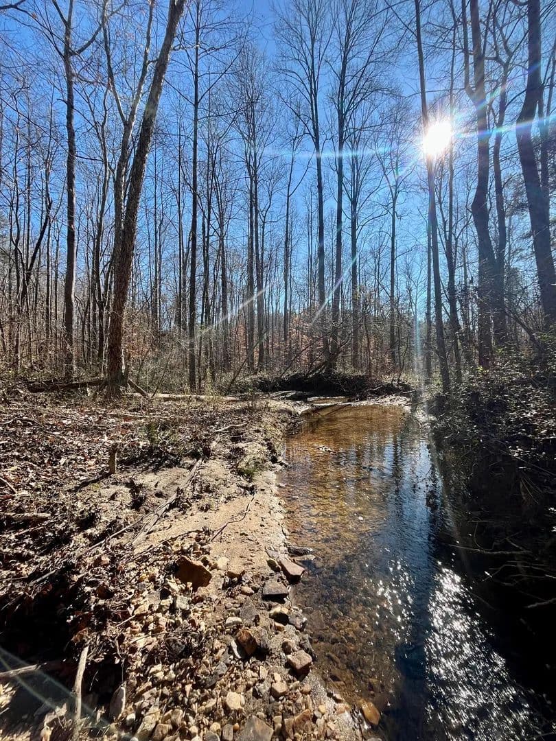 6± Acres | Homesite with Pond & Creek | Carroll County
