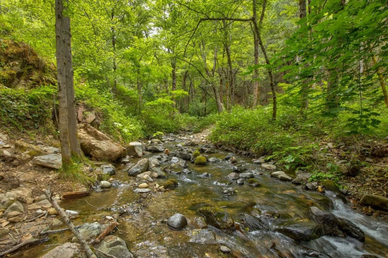 Foresthill Divide - land for sale
