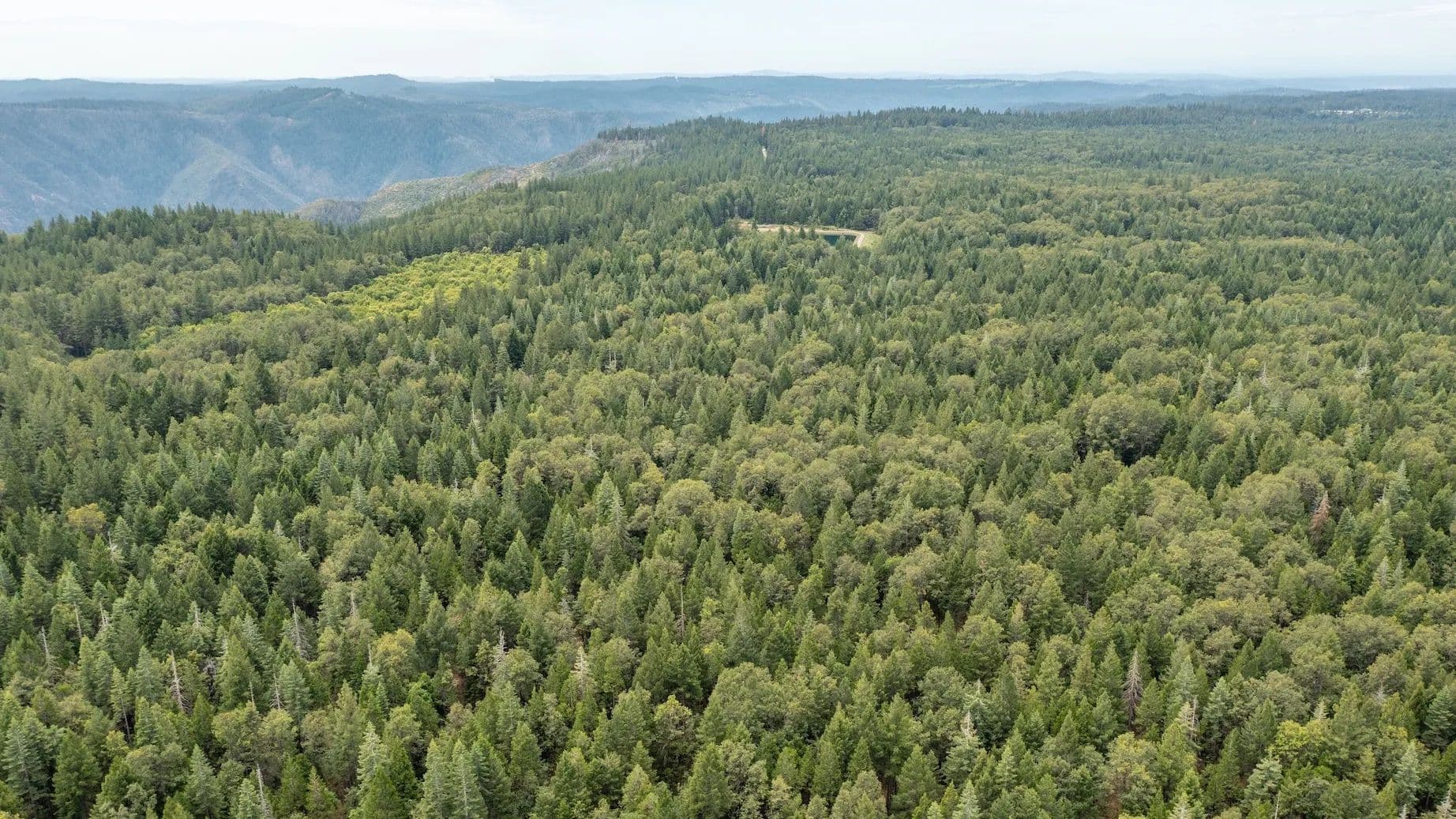 Foresthill North - land for sale