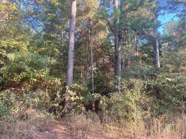 Property from tbd Club Dr and Forestwood Dr. - KW - Gilmer, Texas, 75645