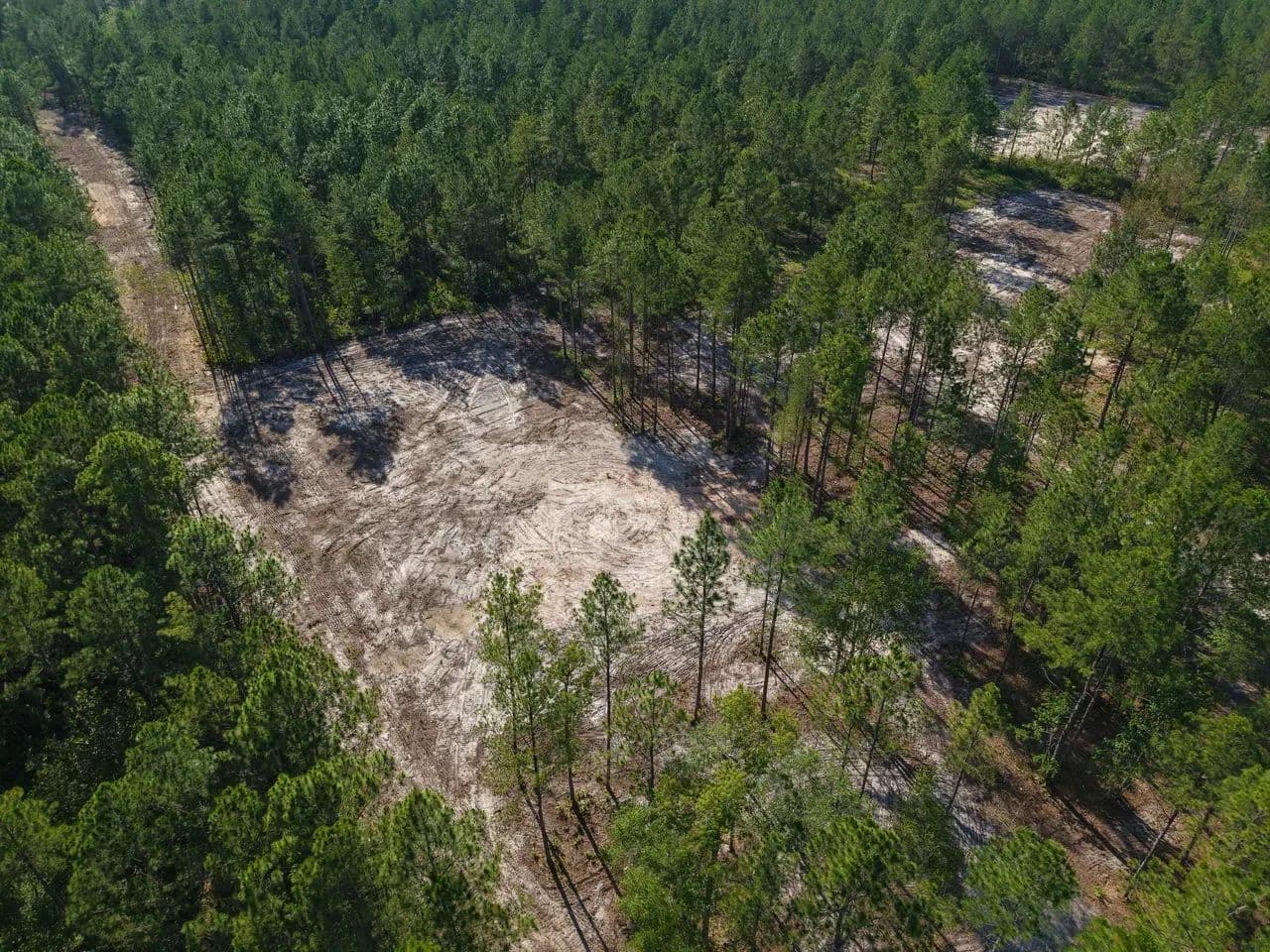 3.5 +/- Ac Land for Sale in Appling County, GA - Odum, Georgia, 31555