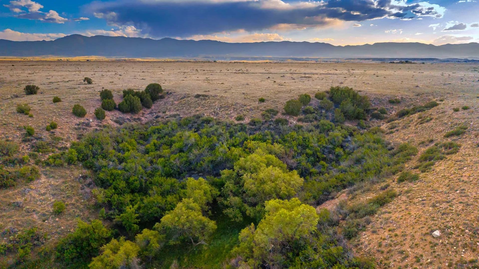 Willow Spring Ranch - Florence, Colorado, 81226