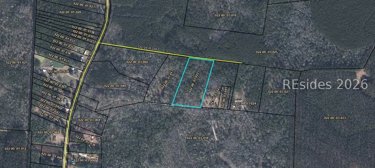 Land for Sale in Pineland, SC - Pineland, South Carolina, 29934