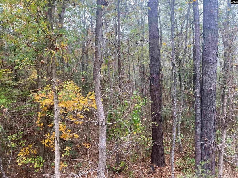 Vacant Land in Little Mountain