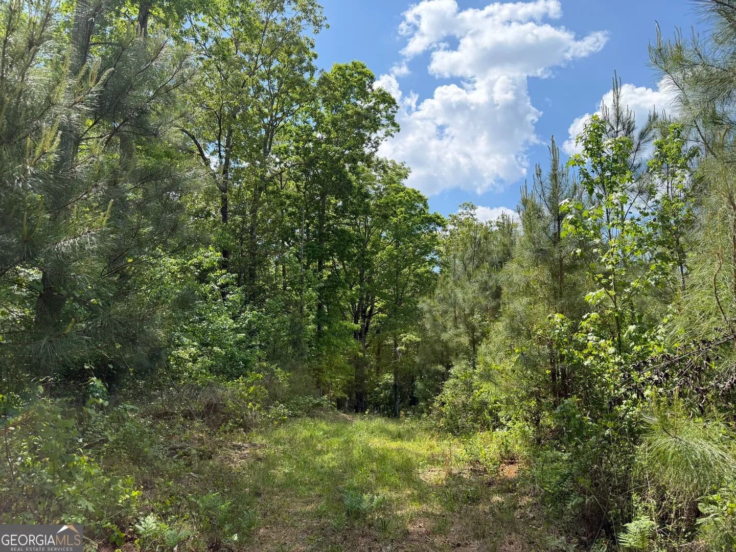 Property from 005 George Milling Rd - KW - Cuthbert, Georgia, 39840