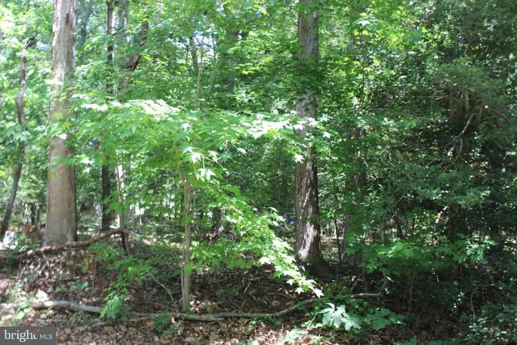 Property from 112 CUSTOM DRIVE - KW - Greenbackville, Virginia, 23356