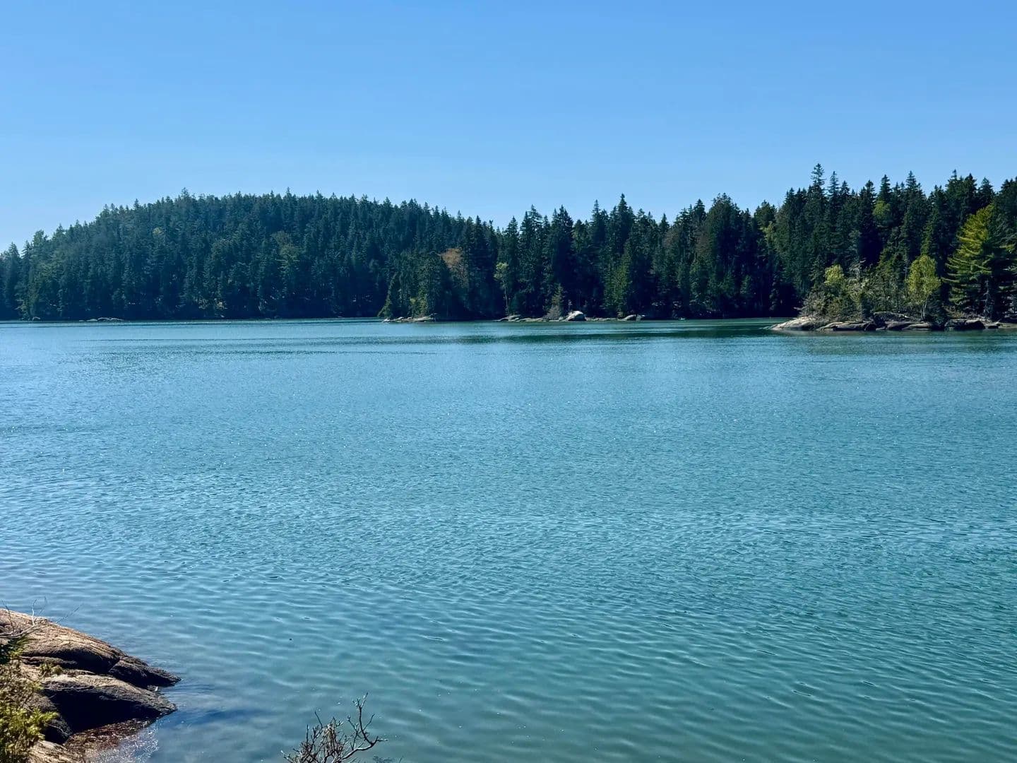 38 Acres of Land for Sale in Vinalhaven, Maine - Vinalhaven, Maine, 04863