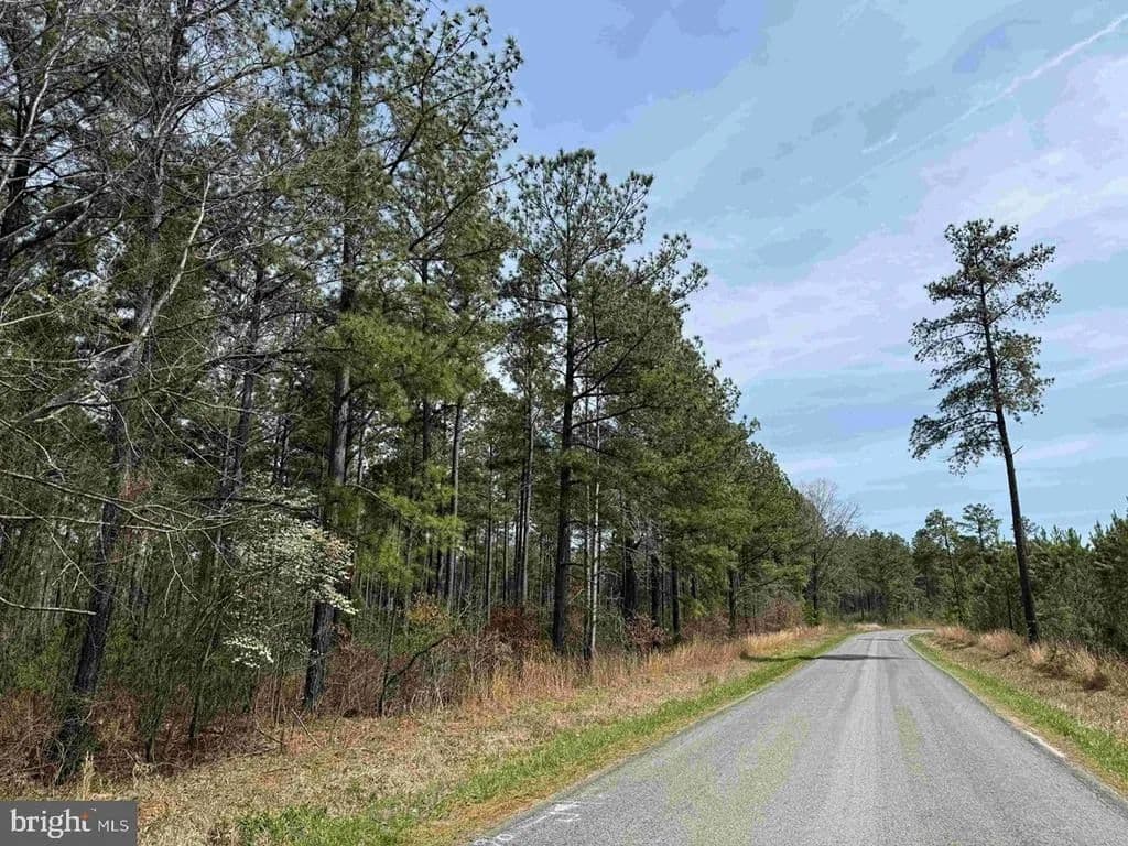 Property from S. FLINT HILL ROAD (RT. 829)(TRACT: REYNOLDS A-2) - KW - Chatham, Virginia, 24531