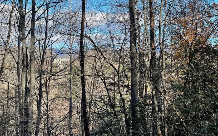 Lots & Land-Other in Hayesville
