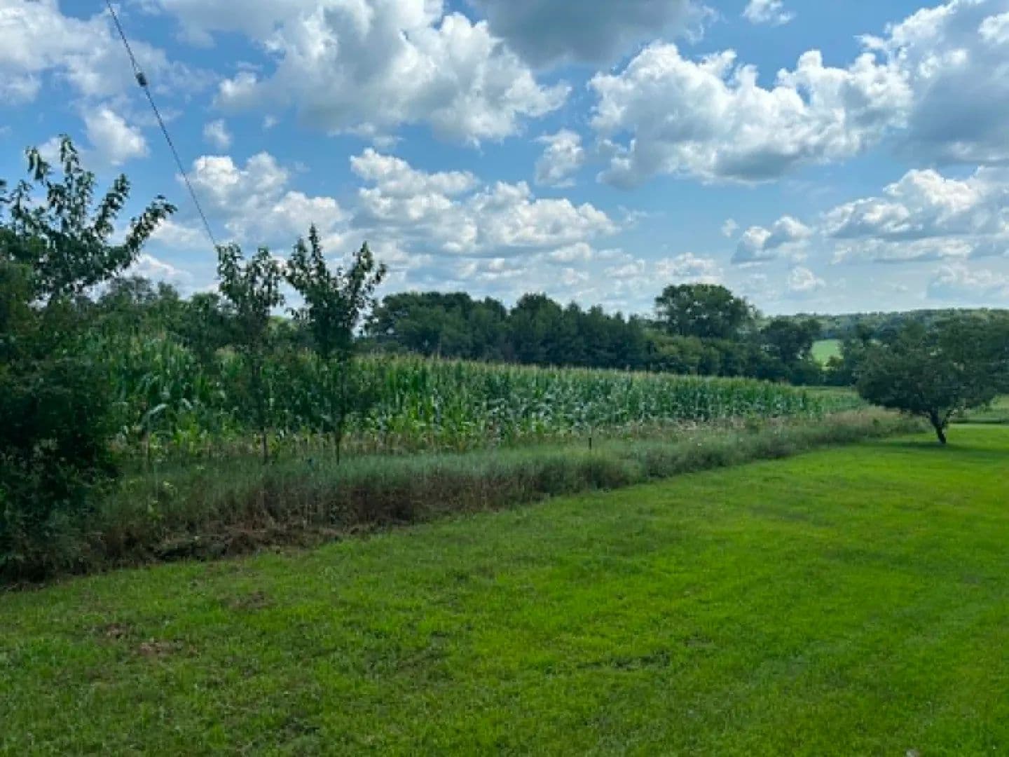 Vacant Land in Menomonie - Menomonie, Wisconsin, 54751