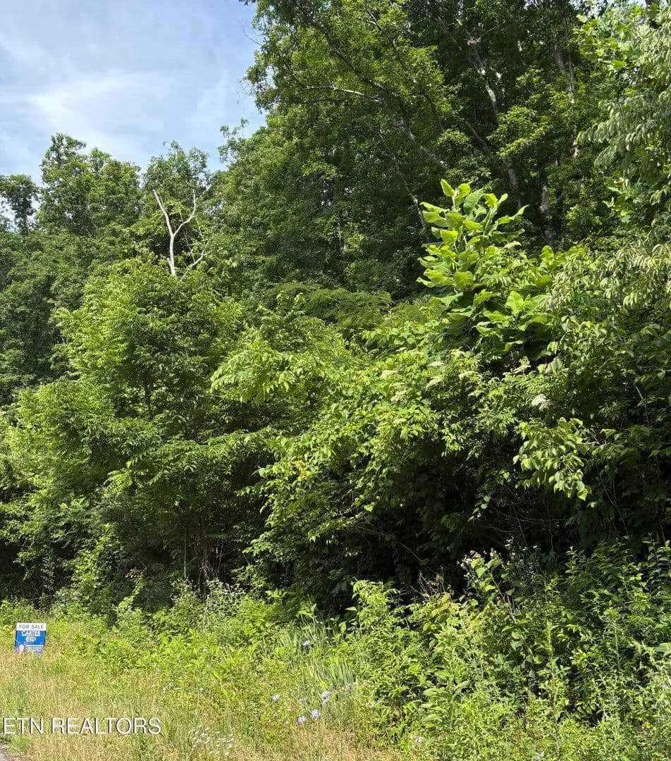 18.5 Acres of Land for Sale in Pioneer, Tennessee - Pioneer, Tennessee, 37847