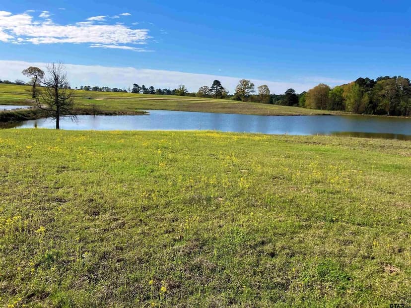Lots & Land-Other in Big Sandy