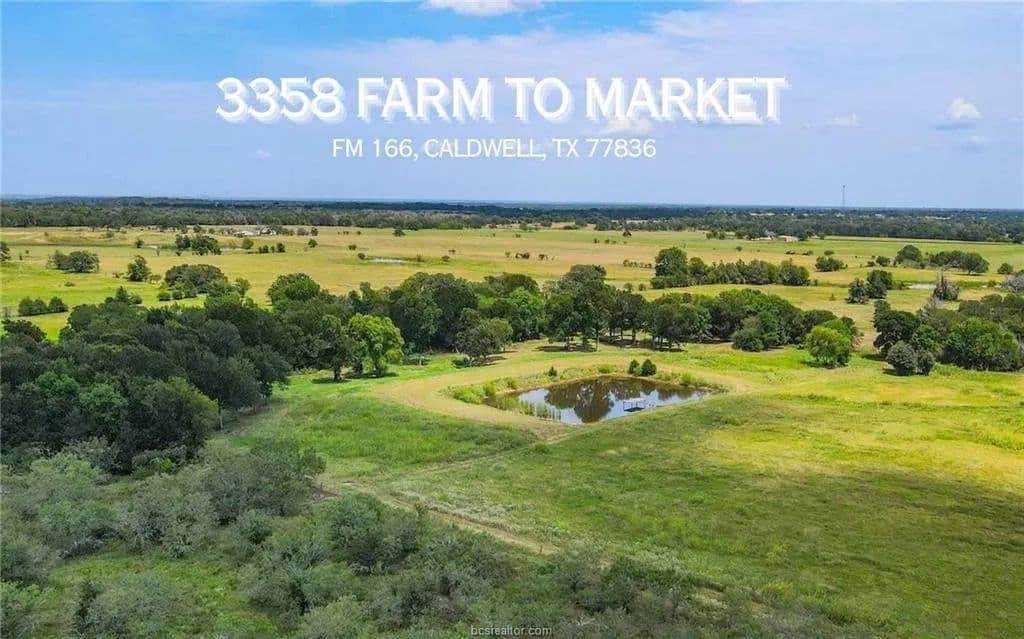 54.5 Acres of Land for Sale in Caldwell, Texas - Caldwell, Texas, 77836