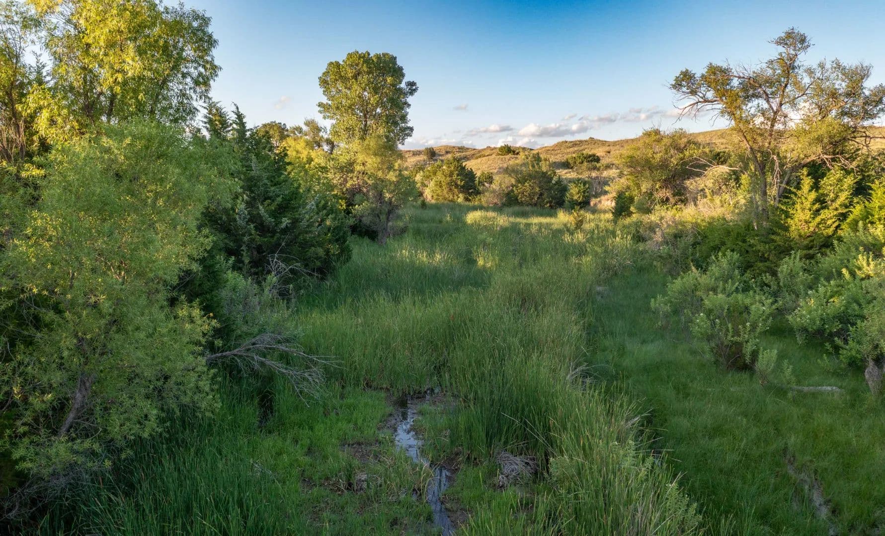 Glenwood Creek - Live Water Ranch - Clarendon, Texas, 79226
