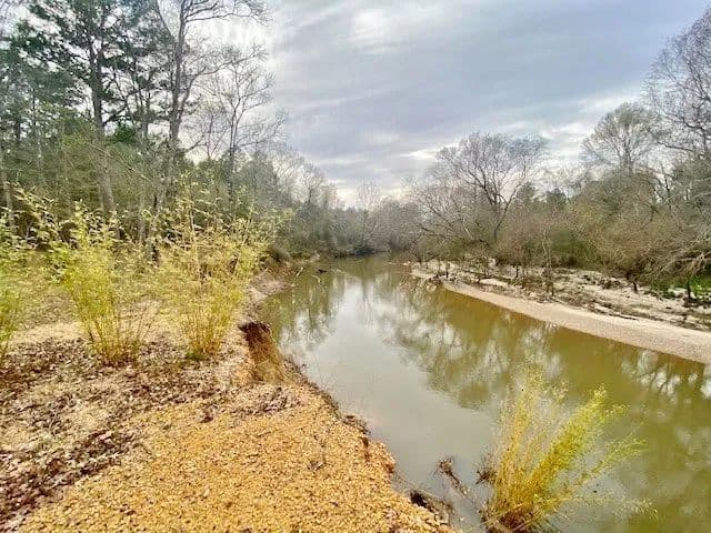 24.11 Acres on Bogue Chitto River | Summit, MS