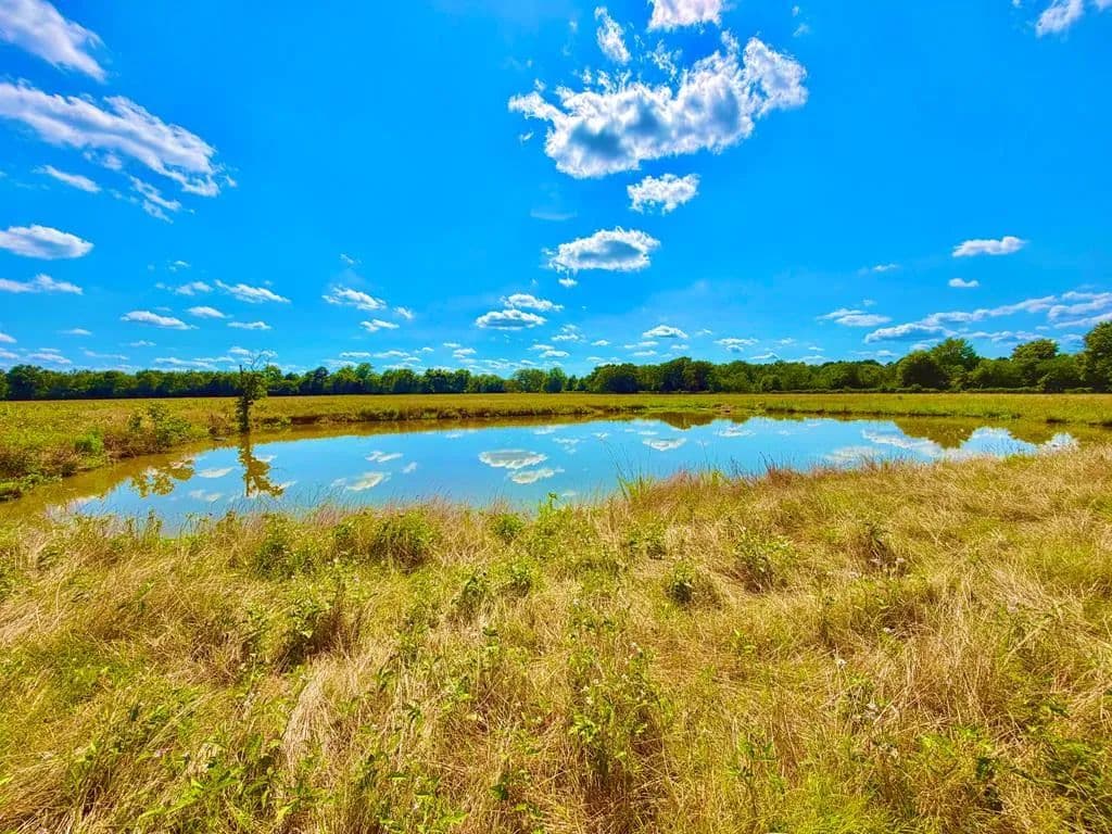 Property from Parcel ID:8473 Cr 3095 - KW - Crockett, Texas, 75835