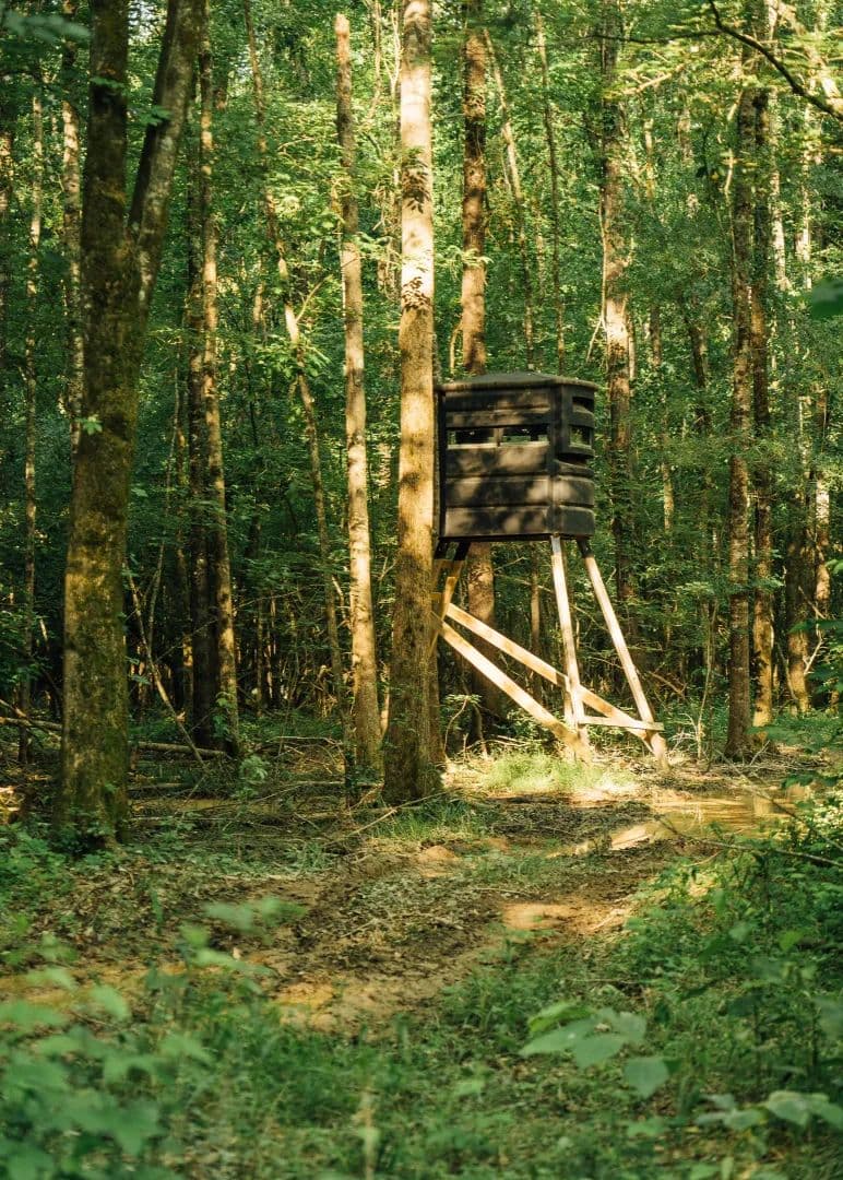 141.3 Acres in Lafayette County, MS