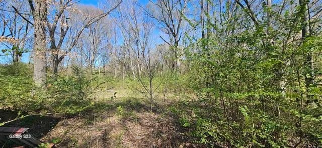 Land -Single Family Acreage in Alba - Alba, Texas, 75410