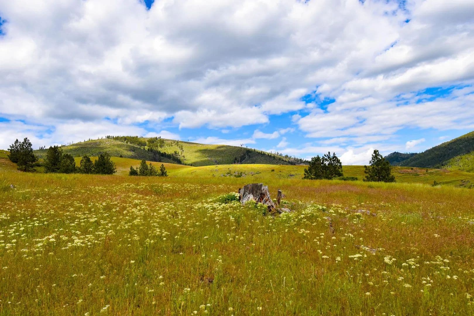 Lots & Land-Other in Plains - Plains, Montana, 59859