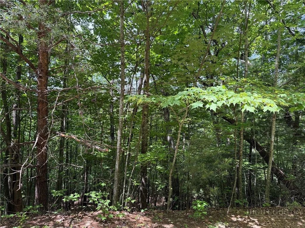 Property from Lot 132A Warren Way Road - KW - Purlear, North Carolina, 28665