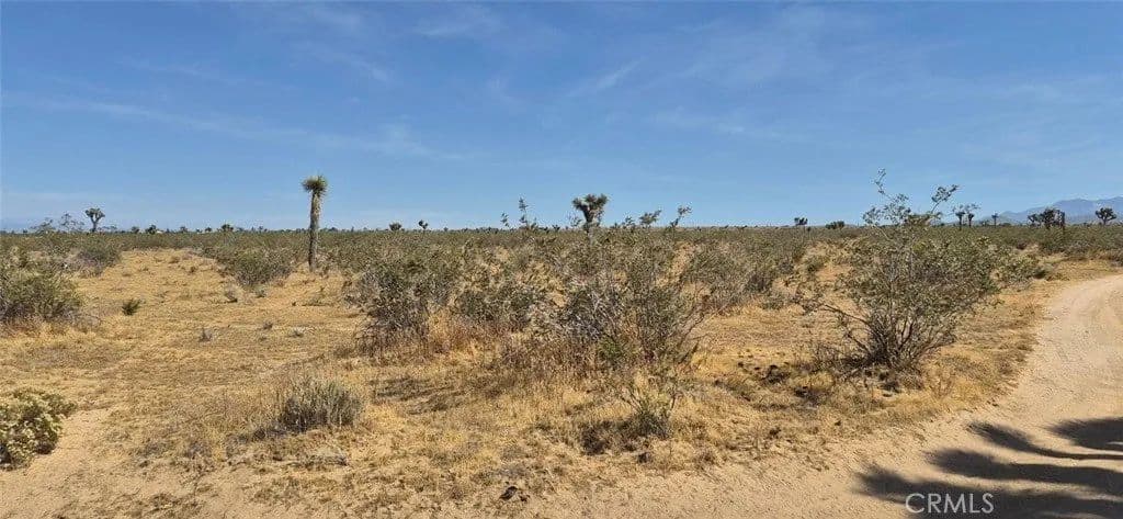Lots & Land-Other in Phelan - Phelan, California, 92371