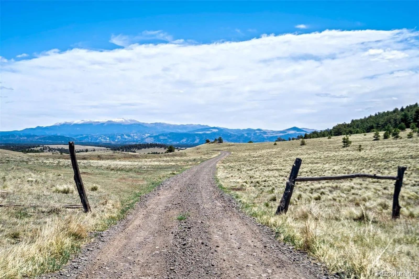 255 Acres of Land for Sale in Guffey, Colorado - Guffey, Colorado, 80820