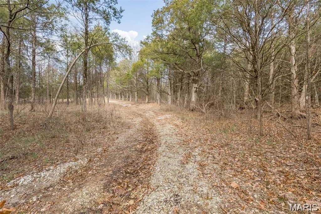 4.2 Acres of Land for Sale in Hillsboro, MO - Hillsboro, Missouri, 63050