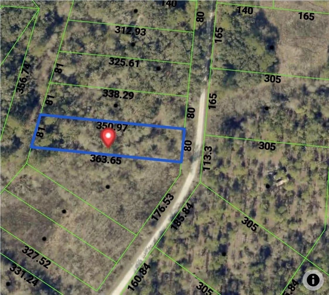 0.65 Acres of Land for Sale in Webster, Florida - Webster, Florida, 33597