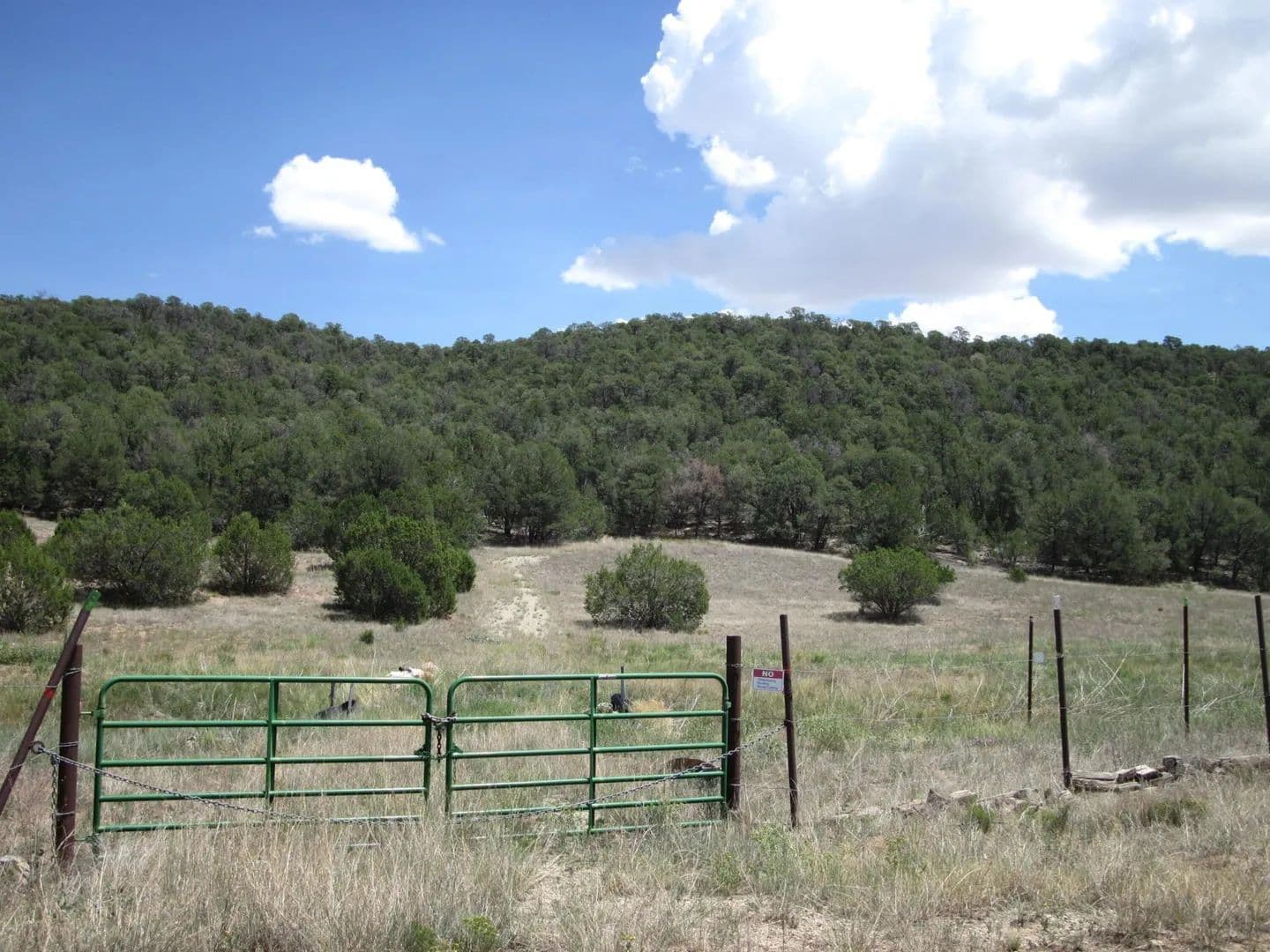 Land -Single Family Acreage in Edgewood - Edgewood, New Mexico, 87015