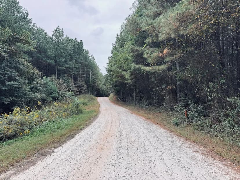 38 +/- Acres- Elbert County, Georgia