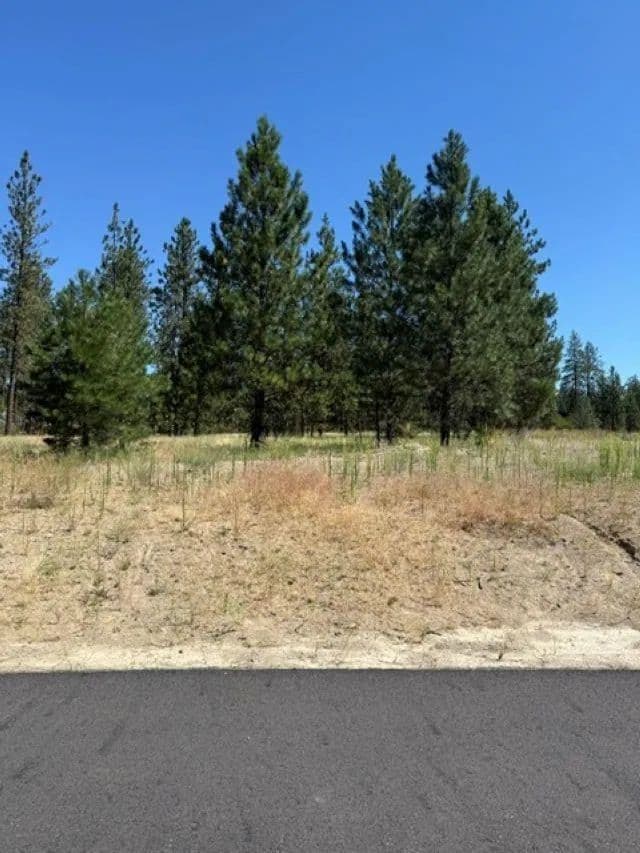 Vacant Land in Nine Mile Falls - Nine Mile Falls, Washington, 99026