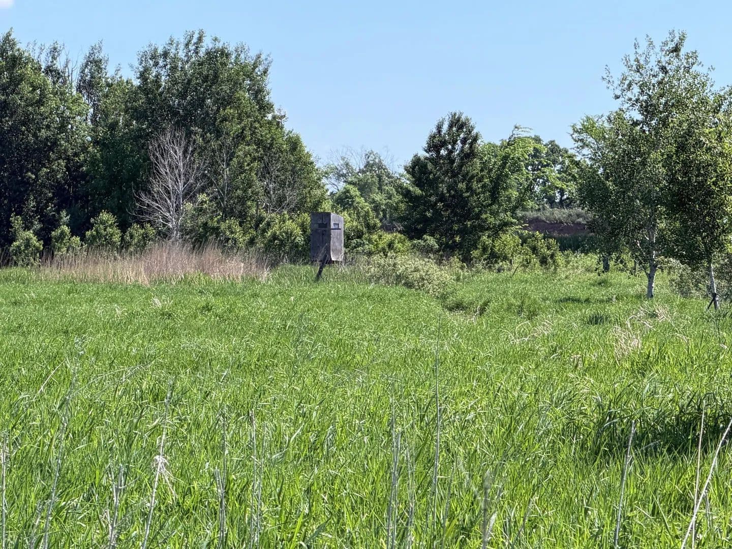Property from 16698 130th Street - KW - Foreston, Minnesota, 56330