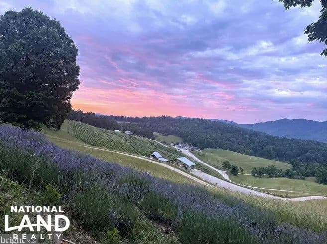 Beliveau Farm Winery & B&B - Blacksburg, Virginia, 24060