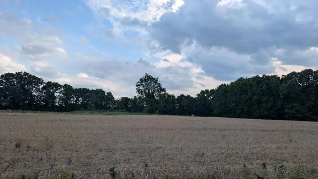 Property from Lot 1 Zacata Road - KW - Montross, Virginia, 22520