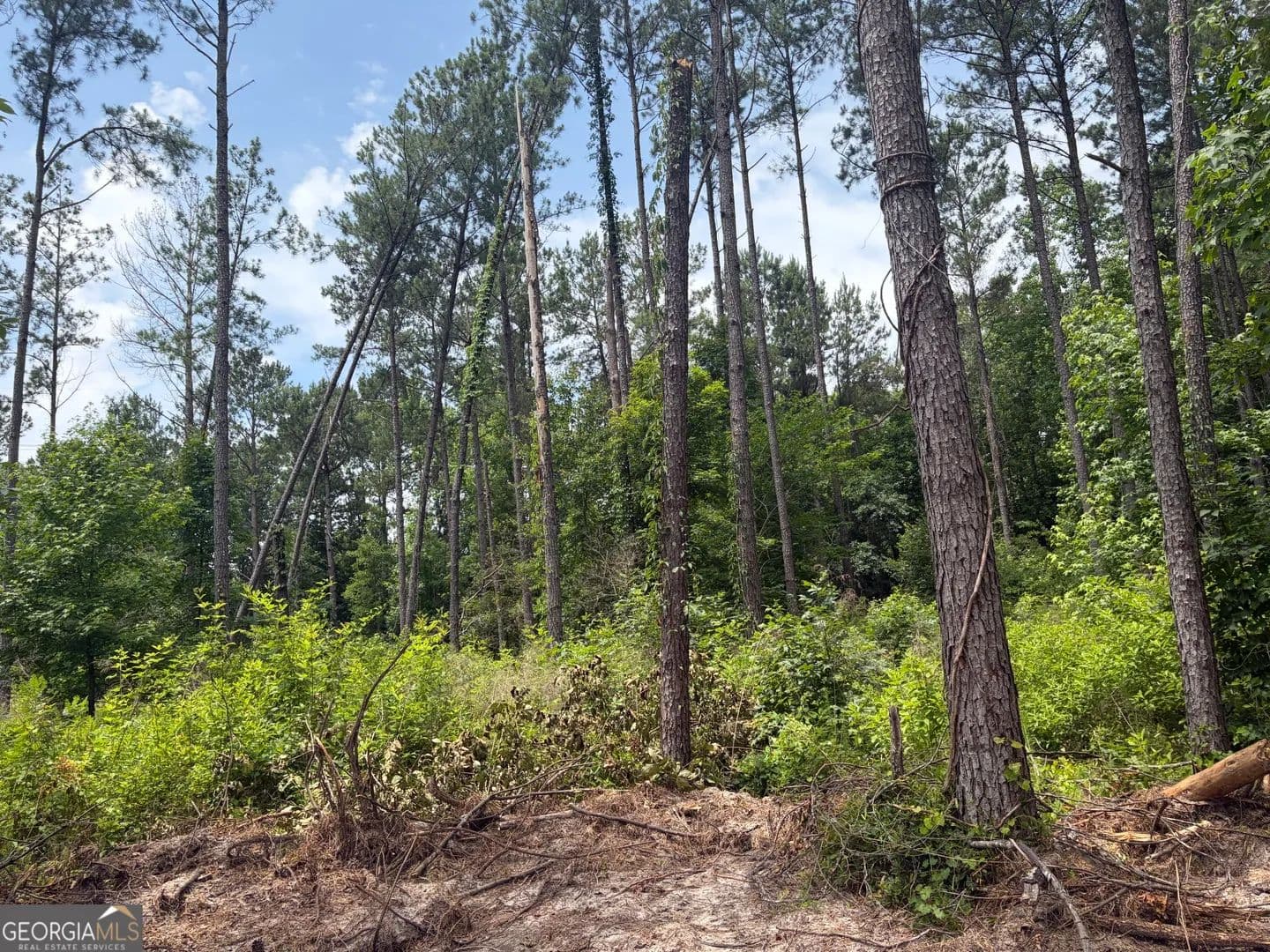 Property from 5 Sunhill Grange Road - KW - Davisboro, Georgia, 31018