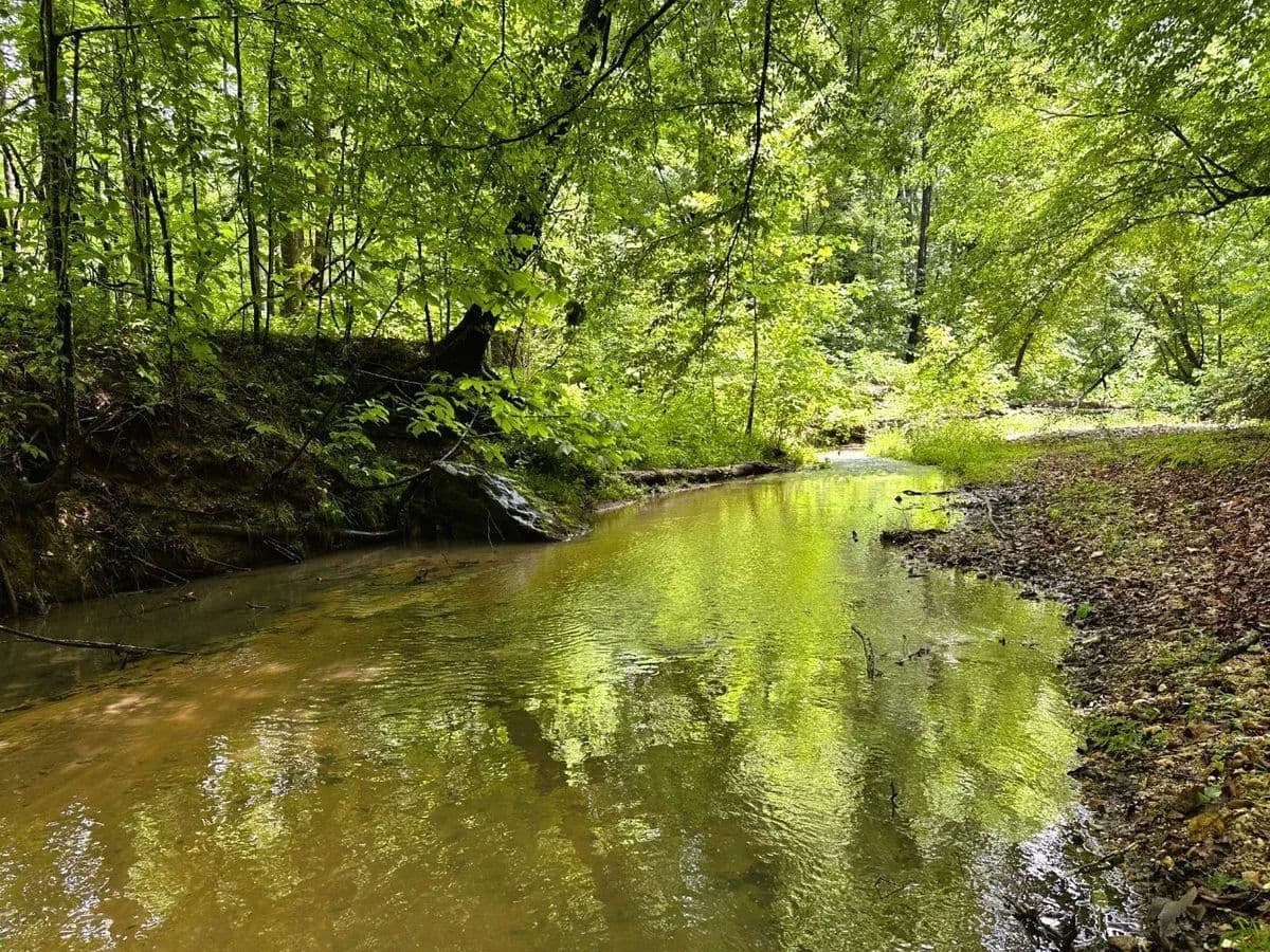 Millcreek - Pacolet, South Carolina, 29372