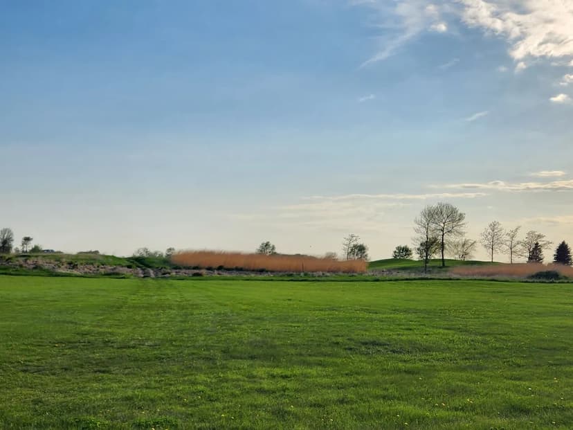 Lots & Land-Other in Sheffield