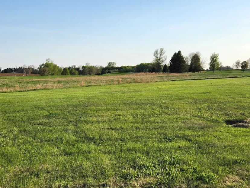 Lots & Land-Other in Sheffield