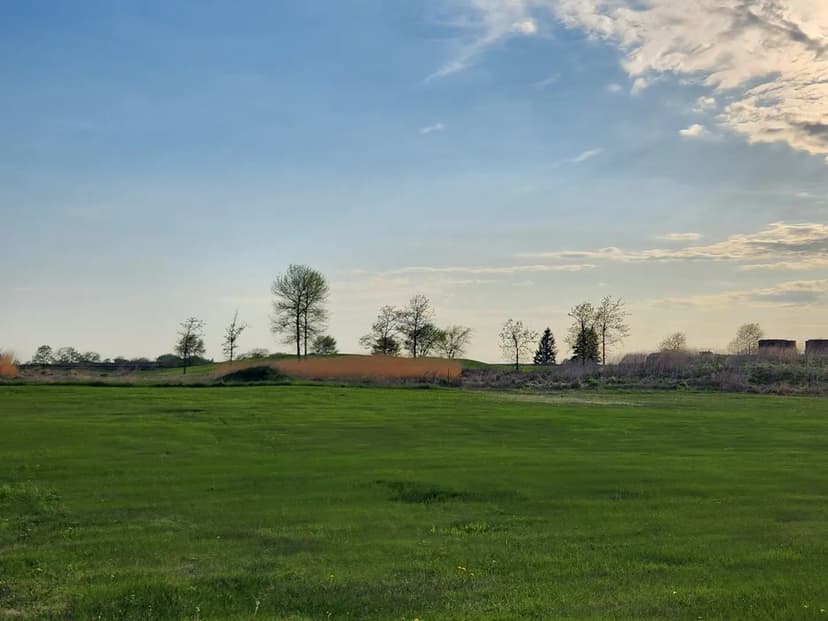 Lots & Land-Other in Sheffield