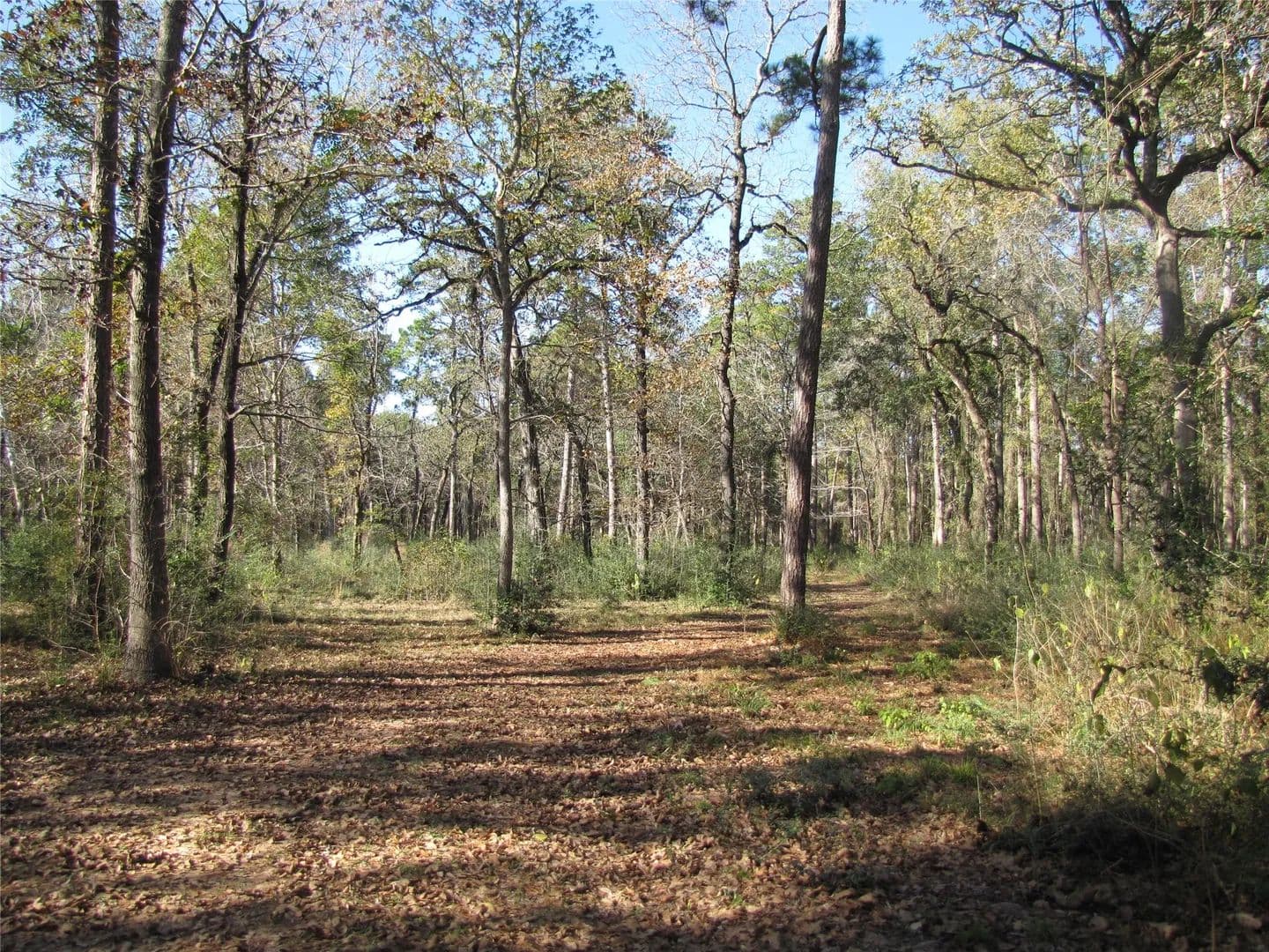 Property from 32602 Dogwood Trail - KW - Magnolia, Texas, 77355