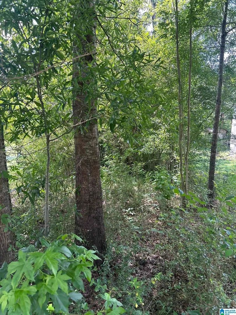 0.7 Acres of Land for Sale in Sylacauga, Alabama - Sylacauga, Alabama, 35150