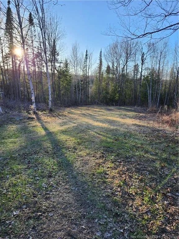 Land for Sale in Beardsley, NB - land for sale