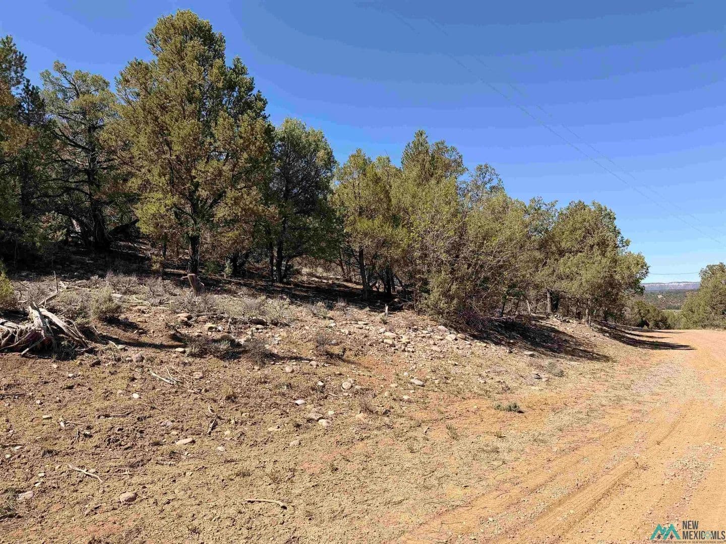 Property from TBD Talavera Sd Road - KW - Tierra Amarilla, New Mexico, 87575