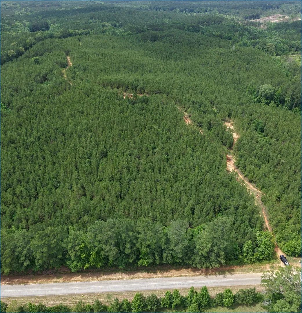 91.7 Acres in Leake County in Kosciusko, MS - land for sale