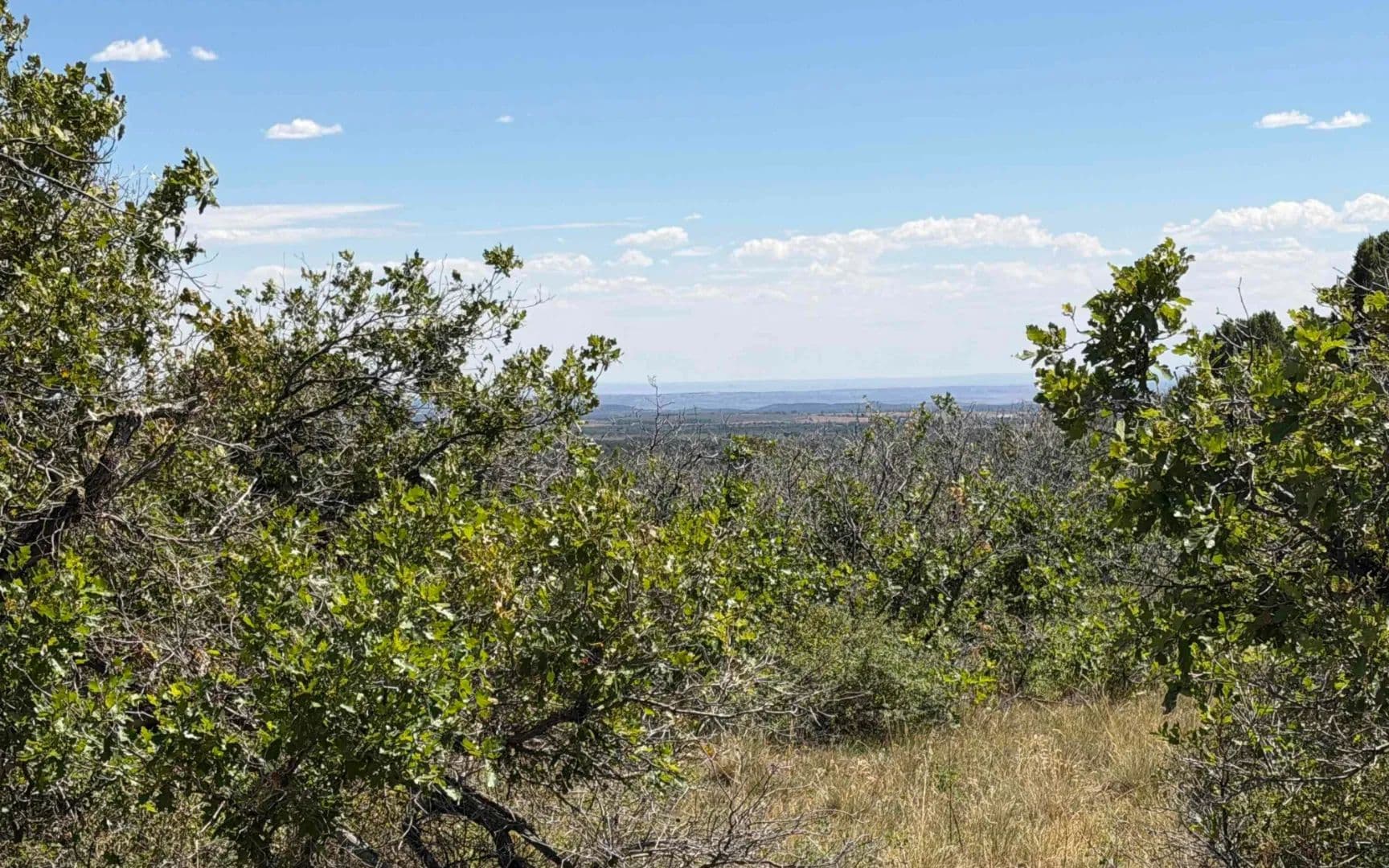 36 Acres of Mountain Land in Hesperus, CO for Sale - land for sale